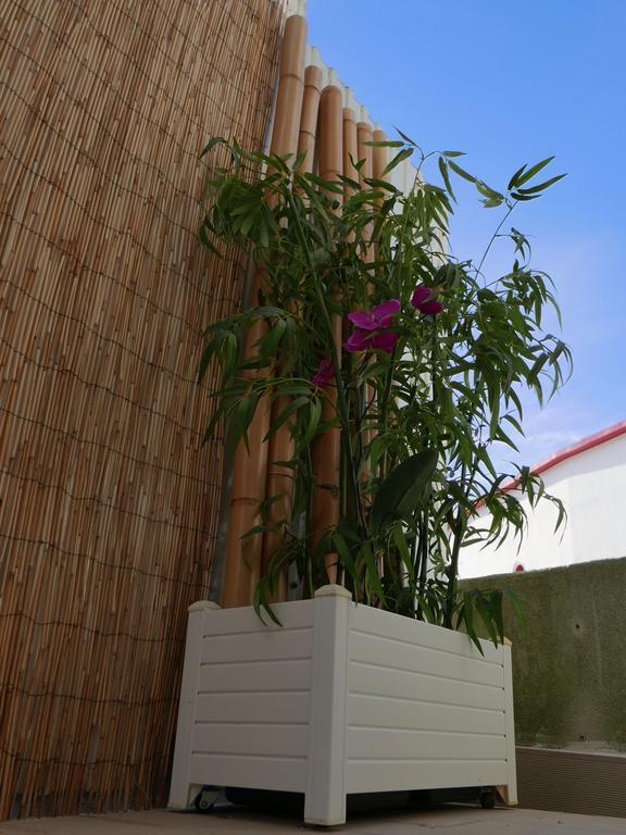 Casa Do Cabeta Villa Nazaré Eksteriør billede